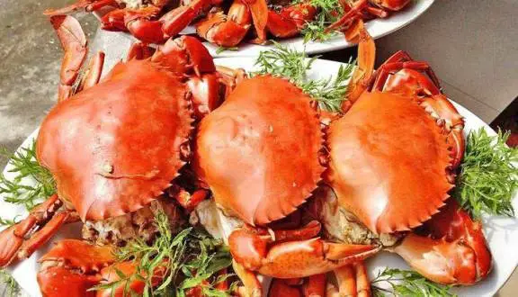 Hải Sản Biển Đông - Times City ở Quận Hai Bà Trưng, Hà Nội | Foody.vn